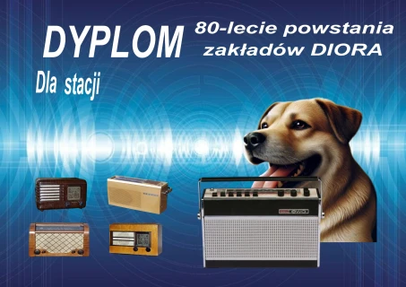 Dyplom Diora For DX